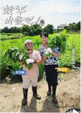 明星大侦探10